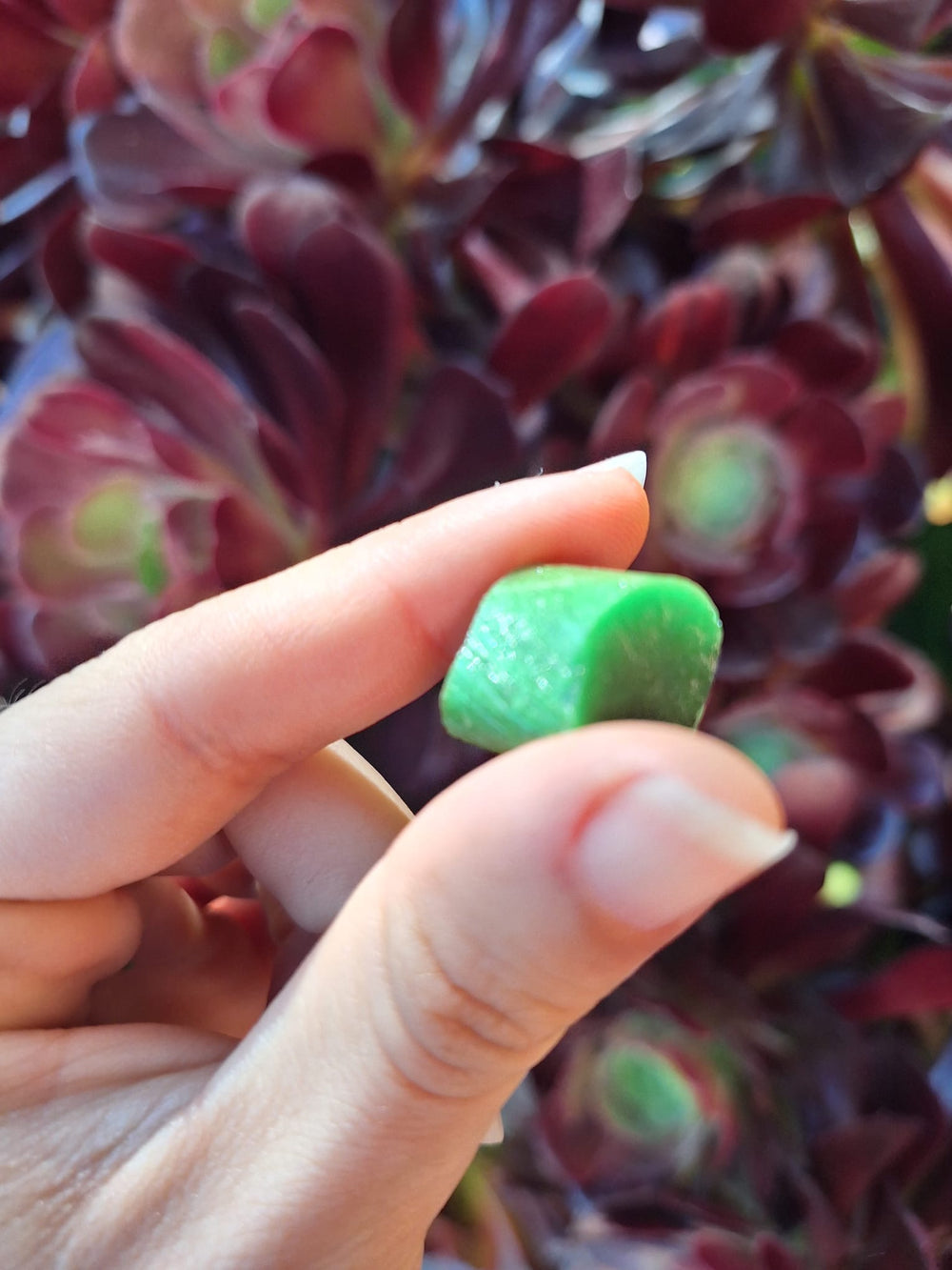 A piece of the candy held between two fingers